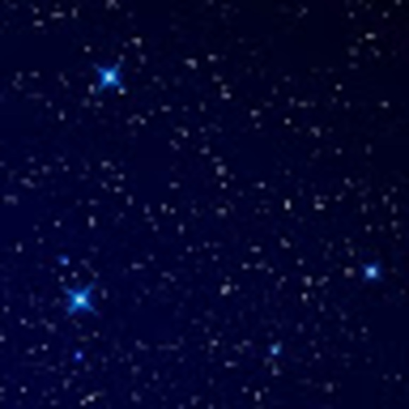 Meet your Posher, Nicky - Picture 1 of 1